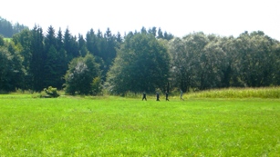 3. Námětové cvičení 2014