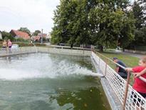 4. Námětové cvičení 2015