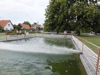 6. Námětové cvičení 2015