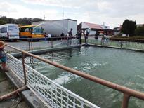 7. Námětové cvičení 2015