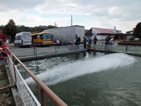 8. Námětové cvičení 2015