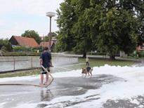 23. Námětové cvičení 2015