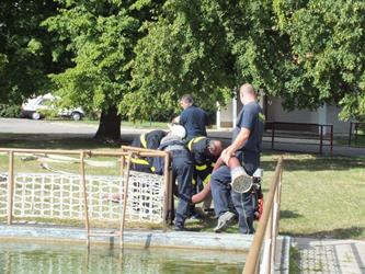 12. Námětové cvičení 2016