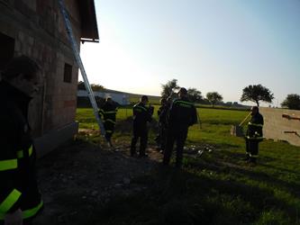 51. Prověřovací cvičení 2017