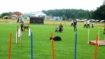 103. Lhotecký džbán 2015