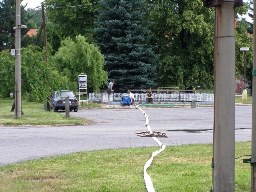 77. Historie 2000 - 2010