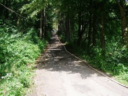 85. Historie 2000 - 2010