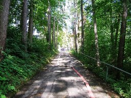 86. Historie 2000 - 2010