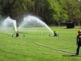 29. O Lhoteckého Soptíka 2015