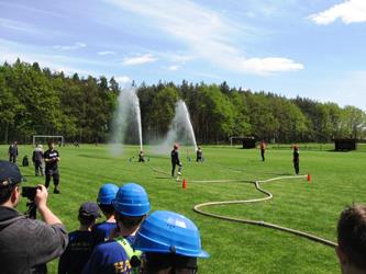 38. O Lhoteckého Soptíka 2015